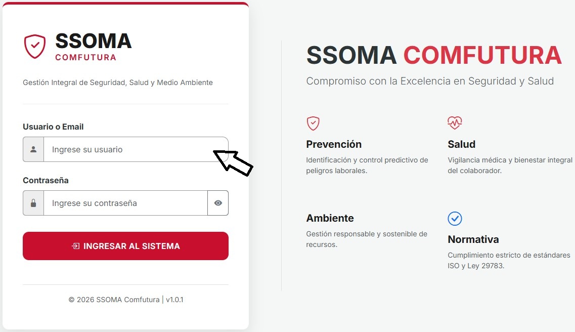 Interfaz de acceso y navegación
